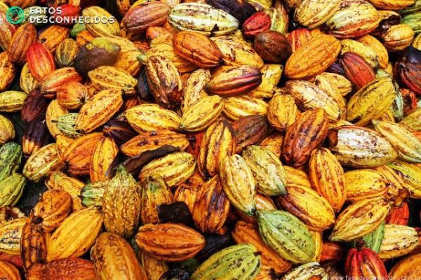 Alimentos que estão sumindo do planeta Alimentos que estão sumindo do planeta