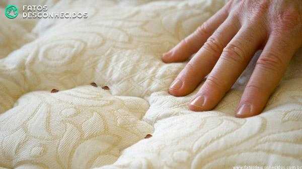 Grand Hotel Toronto Bed Bugs Grand Hotel Toronto Bed Bugs