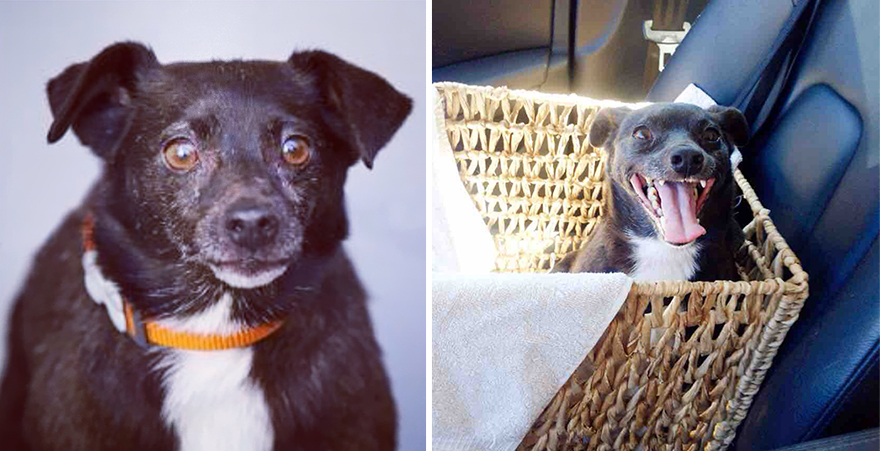 Antes e depois de serem adotados