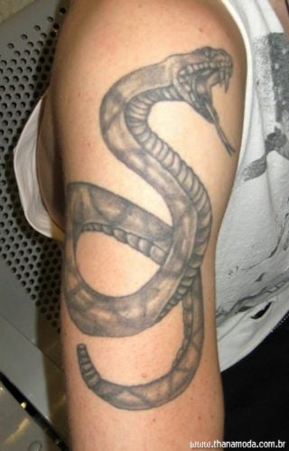serpente