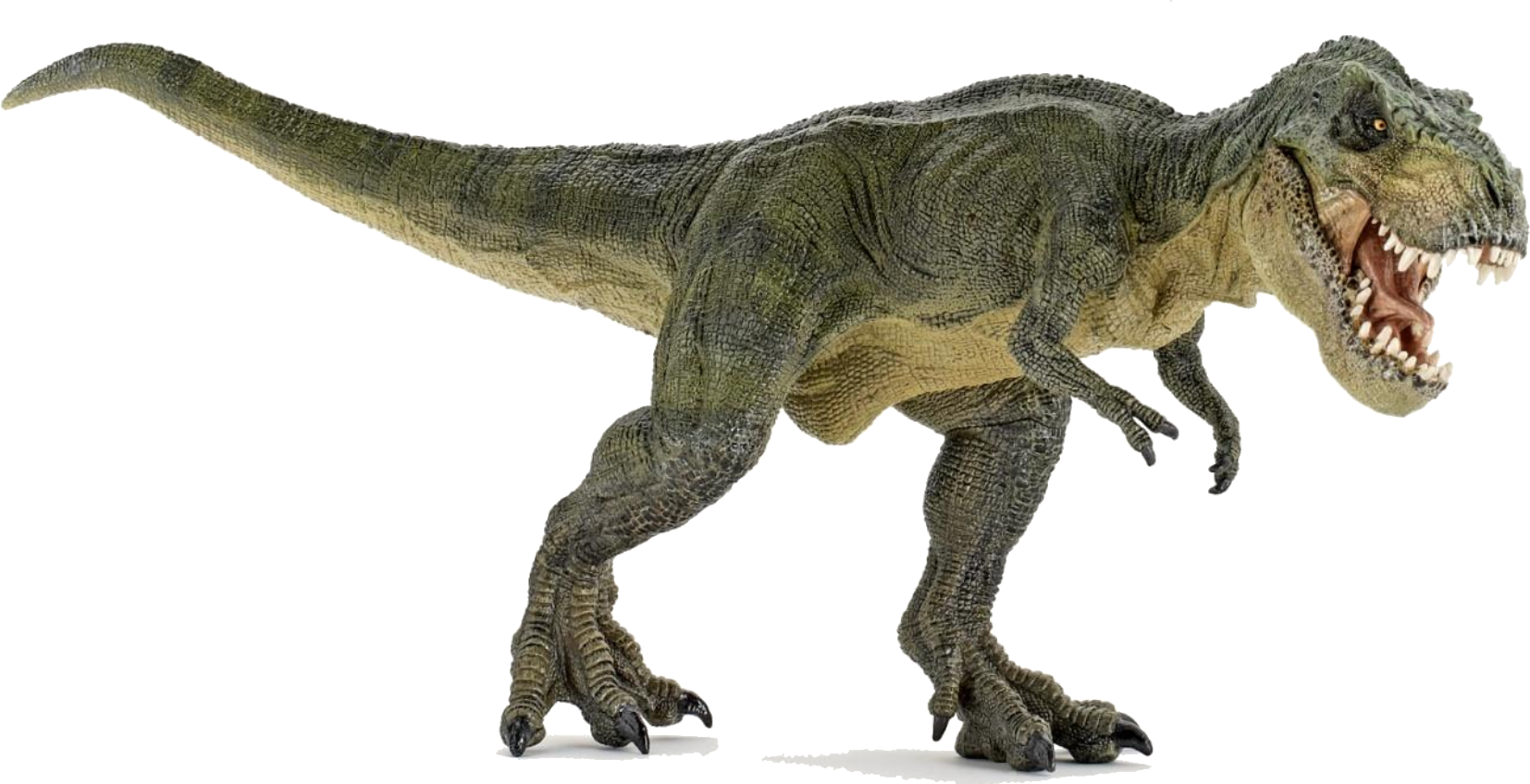Resultado de imagem para imagem do dinossauro