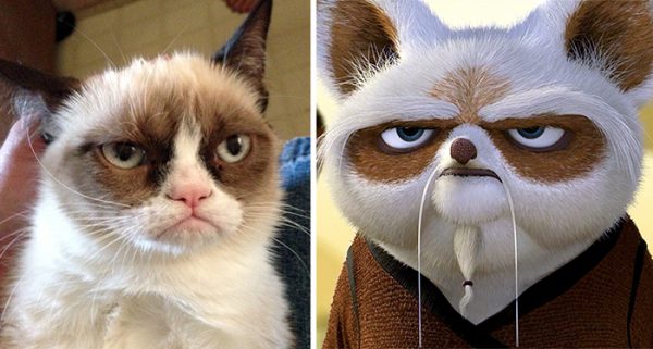 shifu