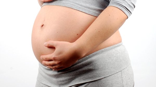 barriga