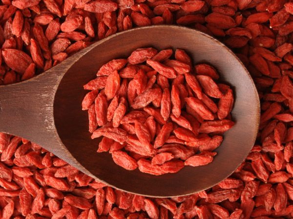 Goji-berry