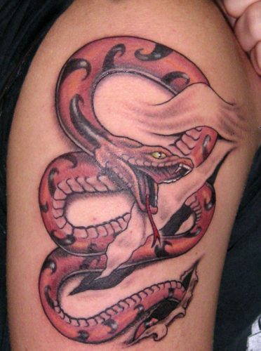 tatu