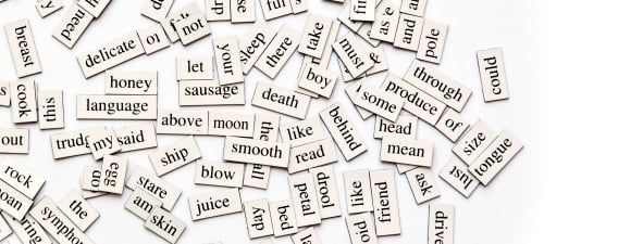 Assorted Magnetic Words