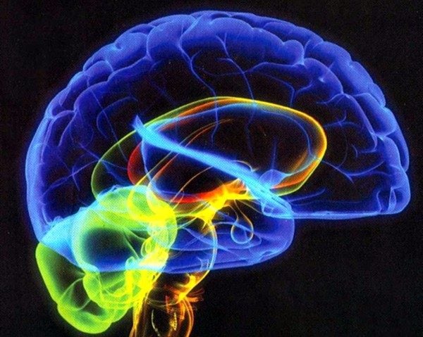 cerebro-consciencia