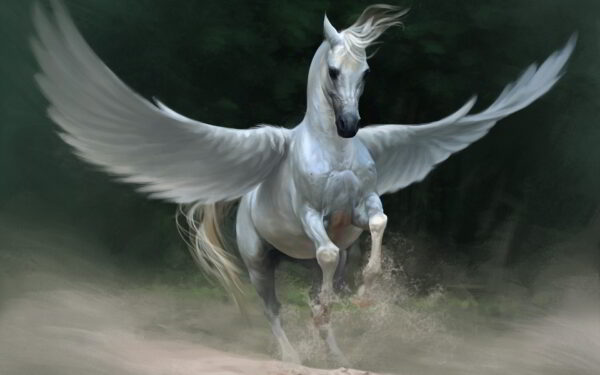 6916524-pegasus-horse