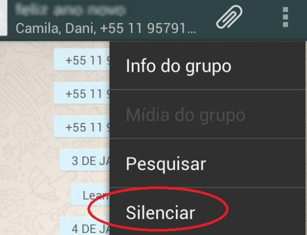 whatsapp-aprenda-a-silenciar-grupos-dos-quais-voce-participa-1392665241868_615x470