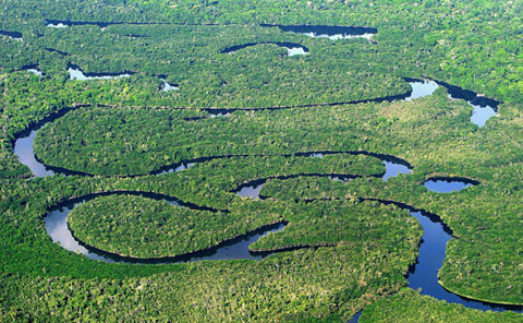 floresta-amazonica