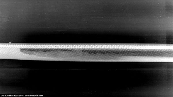 281794EE00000578-3058837-Day_5_Just_a_few_fragments_of_the_large_meal_remain_The_python_h-a-39_1430216668708