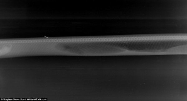 2817950C00000578-3058837-image-a-41_1430216976530