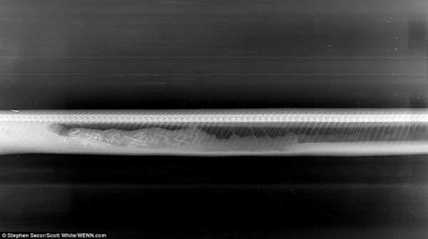 2817963800000578-3058837-Day_4_Only_the_hardest_parts_of_the_alligator_remain_and_they_pa-m-37_1430216645826