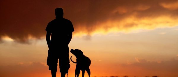 2013-612941253-20130514232008469ap.jpg_20130514