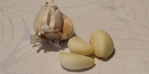 3f670763861139bf2201e7bc224257d4_XL