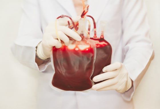 transfusão_freedigitalphotos