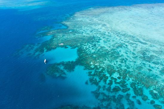 Aerial view of Great Barrier Reef from helicopter