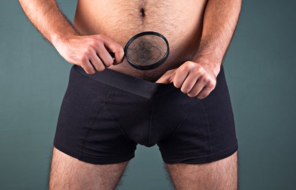 penis-ideal-themacx