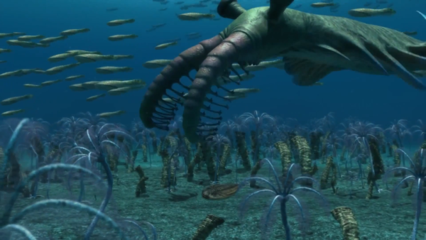 Resultado de imagem para Vida no mar há bilhões de anos