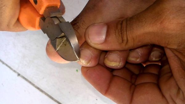 Coisas nojentas que você não deve fazer na frente da sua mulher Coisas nojentas que você não deve fazer na frente da sua mulher