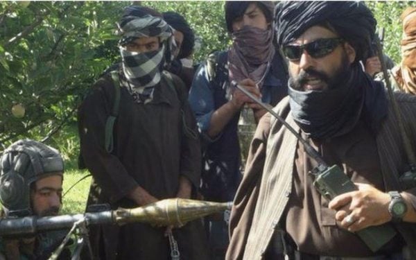 7kavz94tcc77caghxxxqh8vza