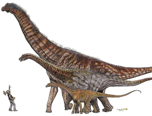 dinossauro-descoberto-de-25-metros-1475682957478_615x470