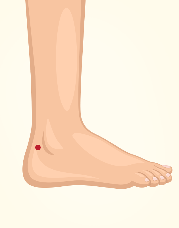 5 pontos do corpo para apertar e aliviar dores 5 pontos do corpo para apertar e aliviar dores