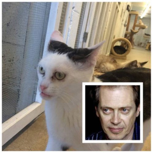 Top 15 - Imagens que deveriam ser excluidas da internet Top 15 - Imagens que deveriam ser excluidas da internet