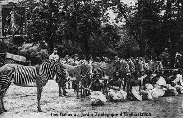 Imagens terríveis de zoologicos humanos Imagens terríveis de zoologicos humanos
