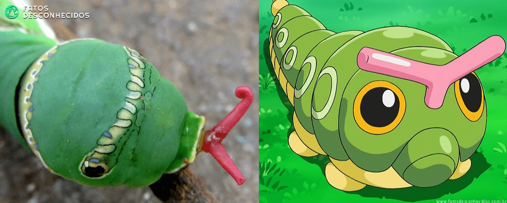 Desenhos de Pokemon Caterpie - Como desenhar Pokemon Caterpie passo a passo