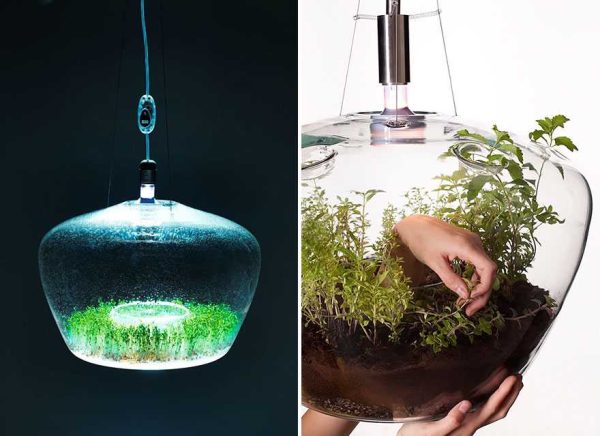 10ideias-de-design-verde-inspiradas-pela-natureza-z1