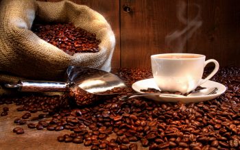 Curiosidades sobre o café