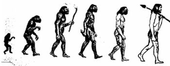 Se o homem evoluiu do macaco por que eles ainda existem?
