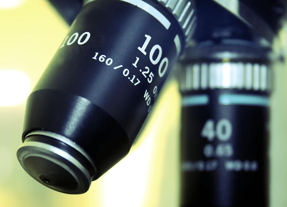 9 fotos de um mundo visto sob microscópio 