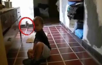 Mistério: Criatura estranha causa polêmica em vídeo de bebê