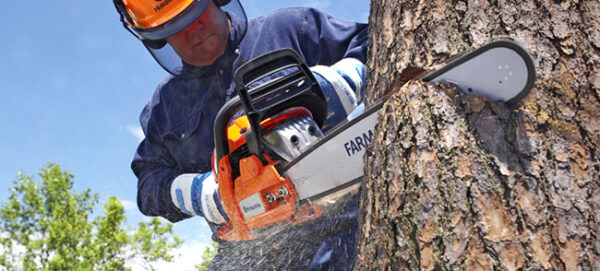 Chain-Saw-Safety_hero