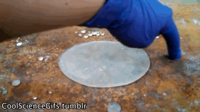 anigif_enhanced-buzz-9174-1406210605-4