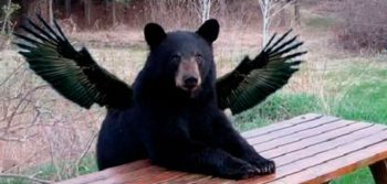 9 pessoas que foram mortas por coisas que caíram do céu