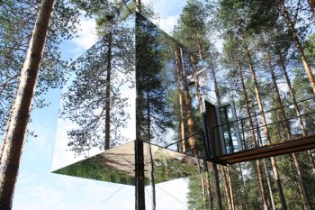 Nas alturas! As 11 mais incríveis casas na árvore do mundo