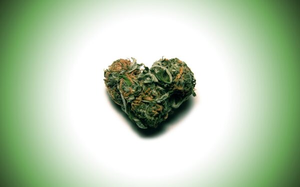 heart weed