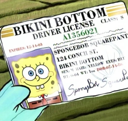 10 curiosidades sobre Bob Esponja