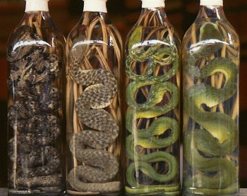 As 7 bebidas mais estranhas do mundo