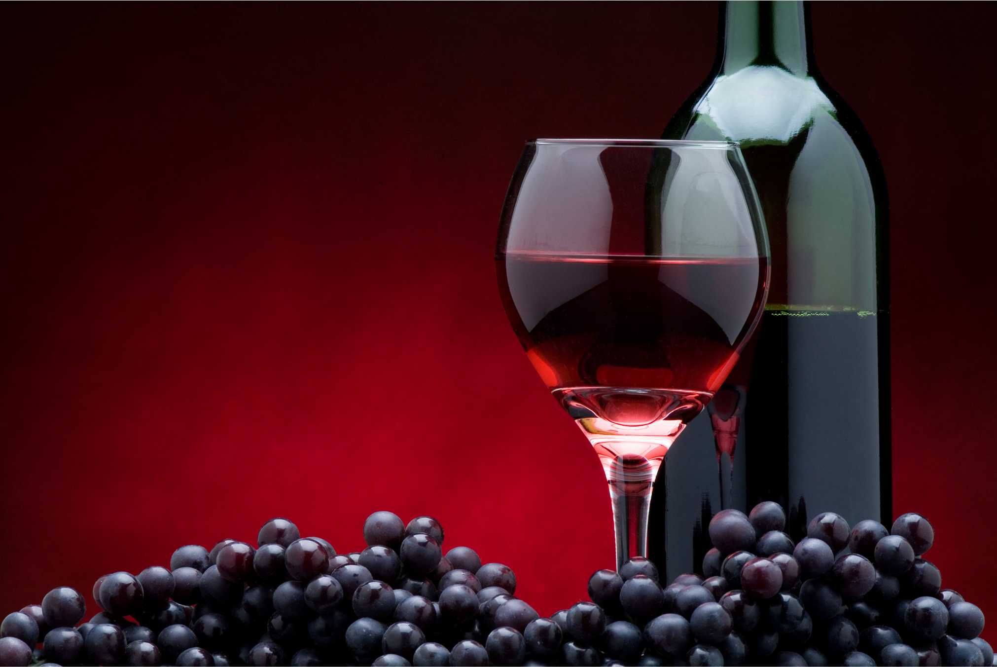 5 fatos impressionantes que você não sabe sobre Vinho