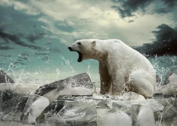 Terra enfrenta sua 6ª extinção em massa e poder perder até 30% de suas espécies