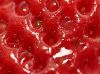 10 alimentos que você NUNCA vai conseguir comer se tiver Tripofobia!