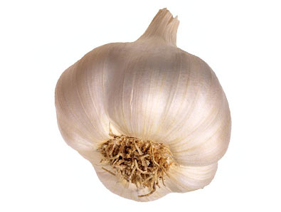 garlic-03