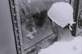 9 crimes hediondos que crianças já cometeram e chocaram a sociedade