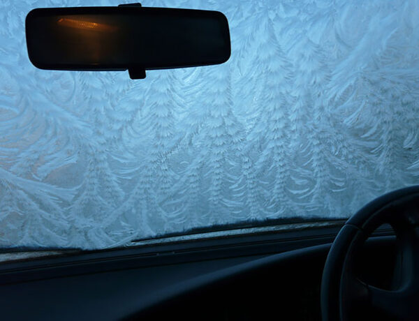 frozen-frosted-cars-221__605