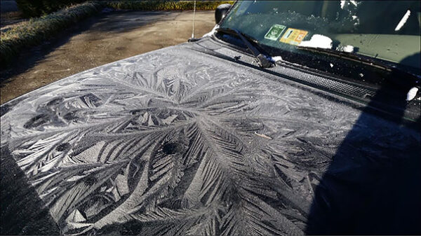 frozen-frosted-cars-31__605