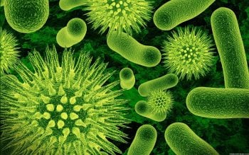 Os 10 experimentos científicos mais bizarros da história
